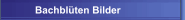 Bachbl&uuml;ten Bilder